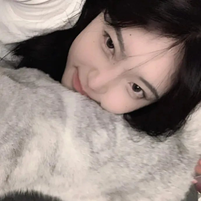 冰球小王子